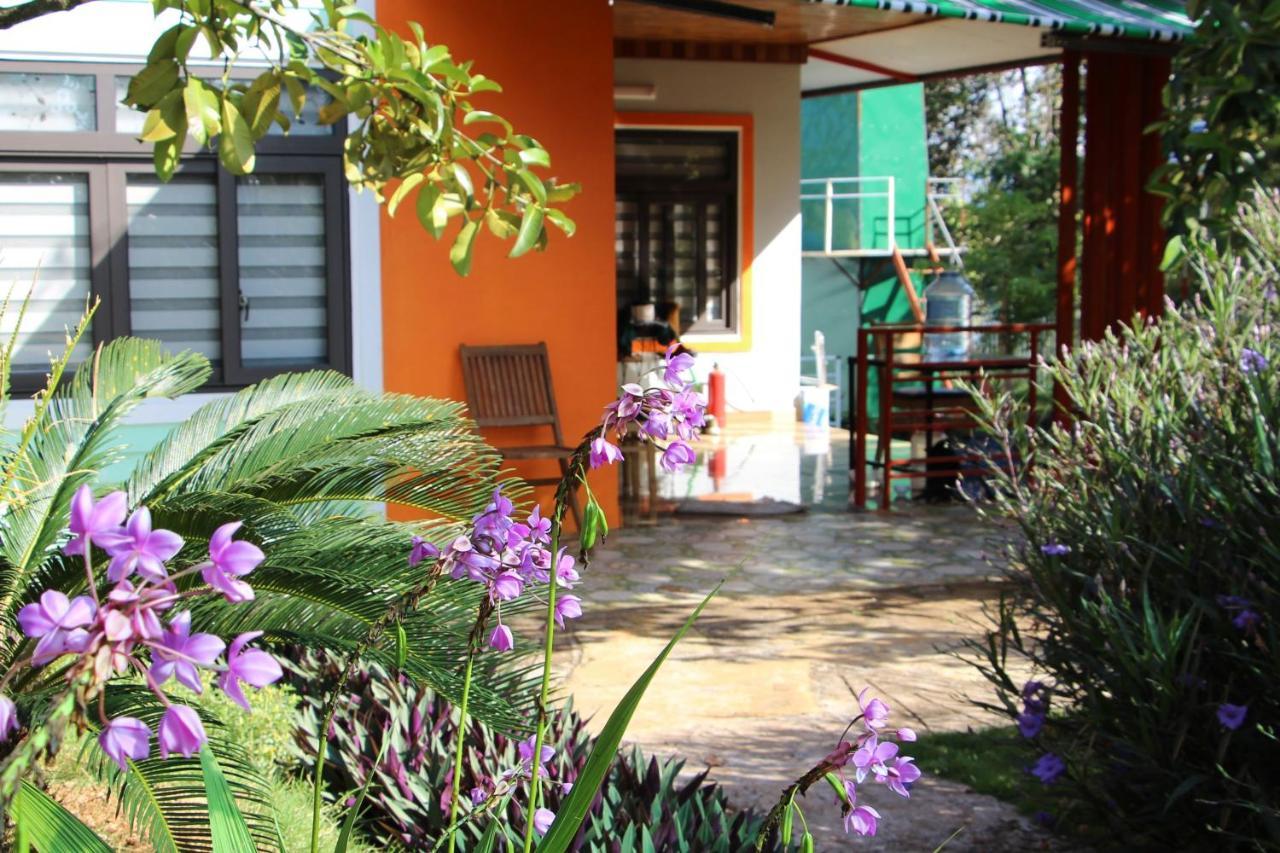Bobbyfarm Apartment Gia Nghia Luaran gambar